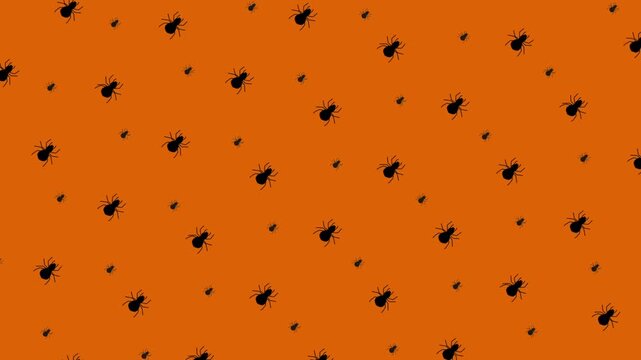 Animated seamless pattern of black spiders on an orange background. The spiders are moving and crawling on the background. This animated pattern is perfect for Halloween or other spooky events