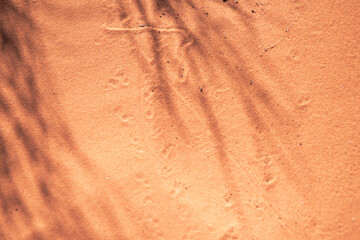 Mojave Desert Valley Of Fire