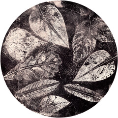Fototapeta premium imprints of real leaves on paper, creative abstract grunge background