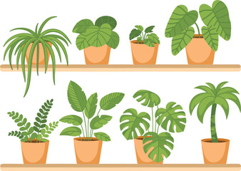 Indoor potted houseplants on shelves, botanical decor concept, green foliage display, modern plant arrangement, cad drawing flat vector illustration