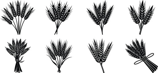 A collection of black and white illustrations of wheat stalks and bunches
