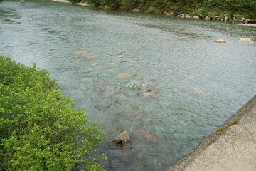 自然の中の大きな川