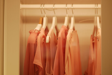Soft pink clothing hanging neatly in a tidy closet