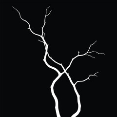 Fototapeta premium Abstract White Branches on Black Background