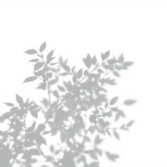 shadow overlay effect. Gray shadow of leaves isolated on white background. Plant foliage leaf shadow light effect. 
Mockup Blurred tree branch shadow. Ideal for summer spring design elements PNG
