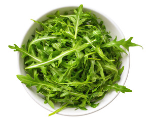 Fresh arugula in white bowl