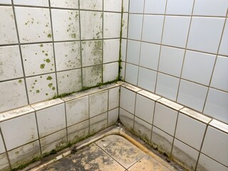 Dirty bathroom corner with mold and mildew on tiles and grout