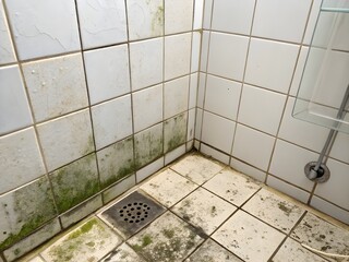 Dirty shower corner with mold and grime on tiles and floor