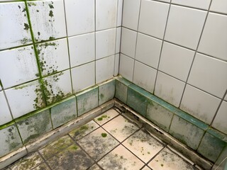 Grungy shower corner with mold and mildew growth on tiles