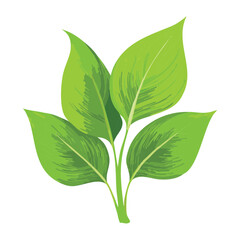 Healthy Green Plant Leaf Cluster