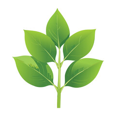 Fresh Green Plant Leaves Cluster