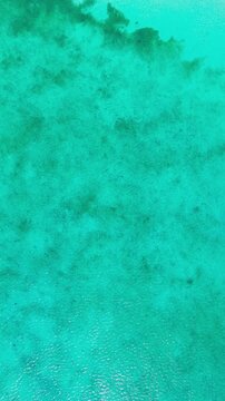 El Cielo, Cozumel.