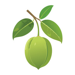 Green Fruit Branch Illustratio
