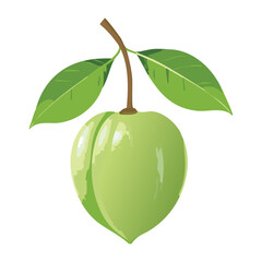 Clean Green Star Fruit Illustration