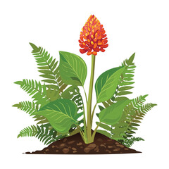 Unique Red Cone Flower Illustration