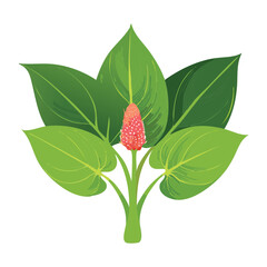 Single Red Spiky Flower Illustration