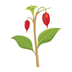 Red Berries on Green Stem Illustration