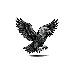 Obraz premium Vintage Majestic Eagle Landing Engraving, drawn in an engraved, woodcut style with fine details sketch engraving vector illustration. Scratch board imitation