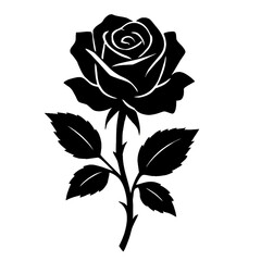 rose silhouette vector illustration