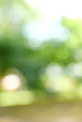 Vertical Horizon Blur background green park garden nature bright sunny forest. Vertical Blurry...