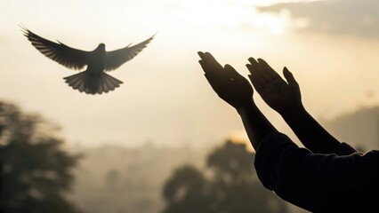 Praying hands casting shadow of flying dove — inner belief becoming outer freedom
