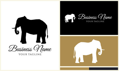 Elephant Logo Design Variations. (12)