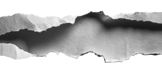 Ripped piece of paper, monochrome,  with ragged edges