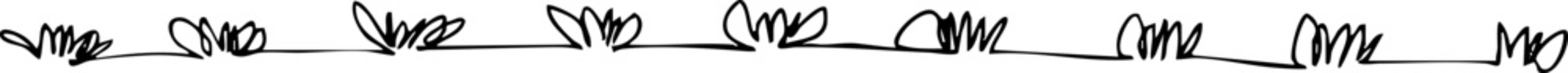 hand-drawn black sketch line and border brush.