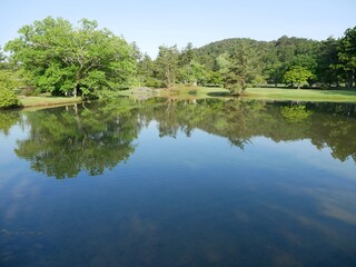 Fototapeta premium Tranquil Japanese Garden with Green Trees Reflected in a Pond on a Spring Morning, Iwate, Japan