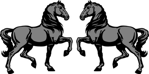 Vintage Horse Illustration – Pair of Elegant Black Horses in Classical Pose – Horse Vector