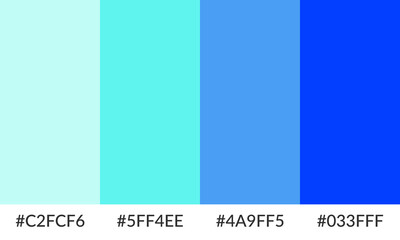 Abstract color palette banner versatile collection of shade and swatch