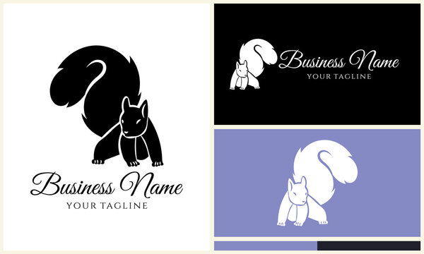 Squirrel Logo Design Variations. (50)