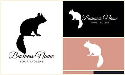Squirrel Logo Design Variations. (32)