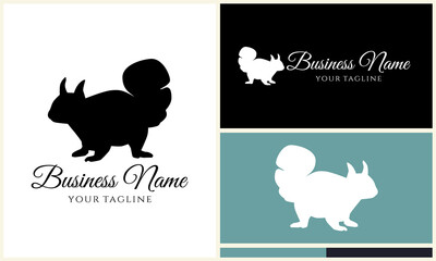 Squirrel Logo Design Variations. (31)