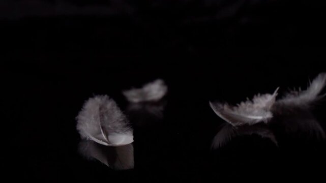 A group of grey feathers floats down on a dark background.
