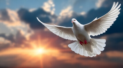 Fototapeta premium Dramatic White Dove Flying Against Sunrise Sky Composition Image. Ai Generated Images