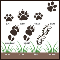 Fototapeta premium Big monochrome set of different animals
