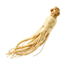 Dried Ginseng Root Isolated on White or Transparent Background – Herbal Medicine and Natural Remedy Concept