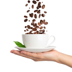 Obraz premium Hand holding tea cup with coffee beans falling PNG 