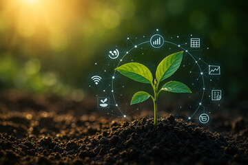 AI generated green seedling growing from moist rich soil surrounded by glowing digital icons representing smart agriculture data and technology under warm natural sunlight with blurred background