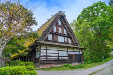 新緑に囲まれた茅葺屋根の合掌造りの情景