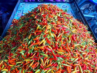 a pile of red bird's eye chilies at a traditional market