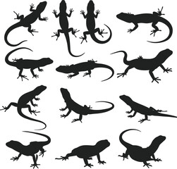 Lizard silhouette collection, reptile vector illustration, black gecko poses, crawling lizard shapes, wildlife animal icons, realistic reptile clipart, isolated lizard graphic design
