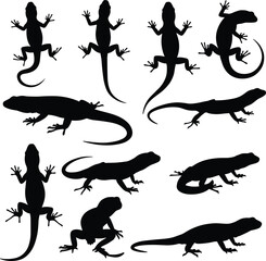 Lizard vector silhouettes, crawling gecko icons, black reptile graphic, wildlife animal illustration, nature pose collection, isolated lizard design, side and top view reptiles