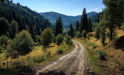 Naklejka premium Winding dirt road through a sunlit valley