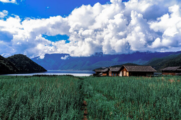 Lugu Lake Lijiang Yunnan Mosuo Ethnic Architecture Lakeside Scenery