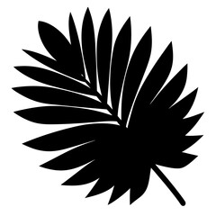 Dramatic silhouette of a palm leaf against a stark white background