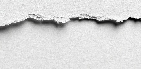 Ripped white paper texture (1)