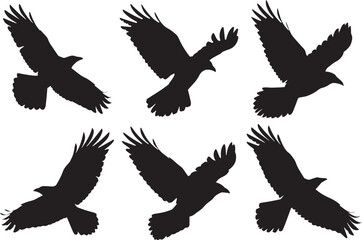 Obraz premium Set of Flying Bird silhouette vector illustration 