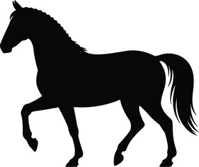 Obraz premium Elegant black horse silhouette animal equine